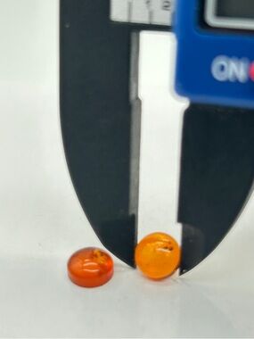 Genuine Baltic Amber Loose Stone Set of 2